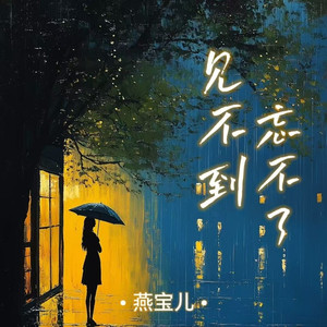 见不到忘不了 (DJ默涵版)