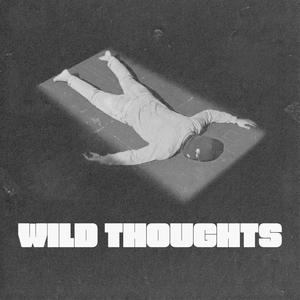 Wild thoughts