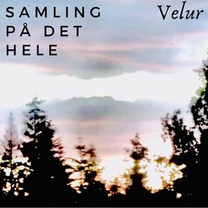 Samling på det hele
