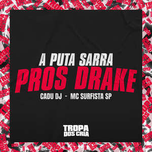 A Puta Sarra Pros Drake