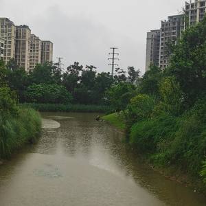 小雨淅沥