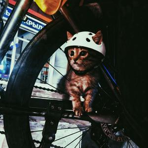 в одного