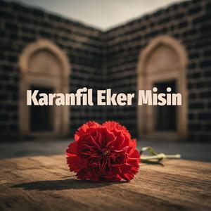 Karanfil Eker Misin