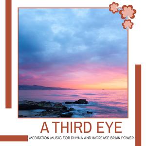 Chirping Of Birds Chill Out