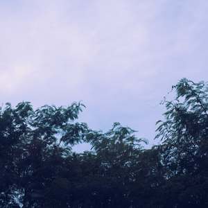 清凉和甘甜 (铃铛曲)