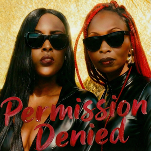 Permission Denied
