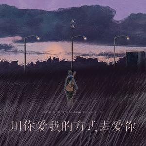 用你爱我的方式去爱你 (弹唱版)