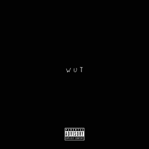 Wut (feat. K. Rizzy & L.P.)