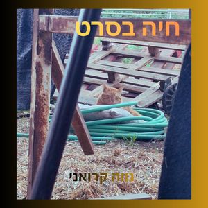 חיה בסרט