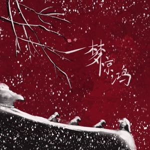 一梦惊鸿