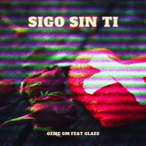 Sigo Sin Ti