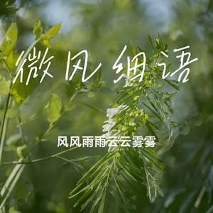 微风细语