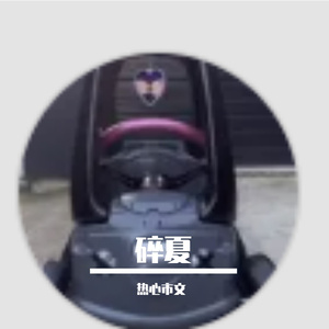 星空下静谧的夜之守望