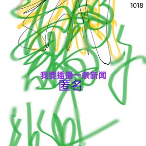 我要插播一条新闻1