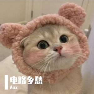 电路乡愁