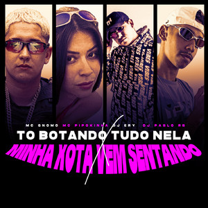 To Botando Tudo Nela X Minha Xota Vem Sentando (feat. mc pipokinha, mc gnomo)