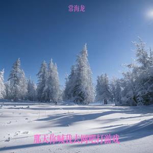 那天你喊我去网吧，我们奔跑在冰天雪地里