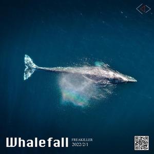 Whalefall(鲸落)