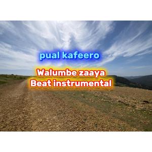 Walumbe zaya Beat instrumenta