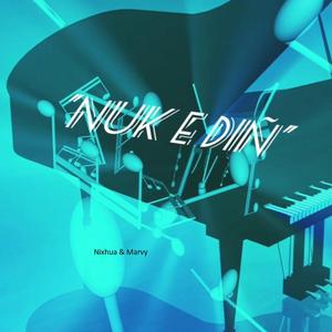 Nuk e din (feat. Nixhua)