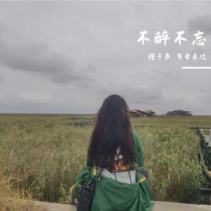 不醉不忘