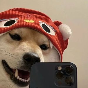 送给我最爱的女人