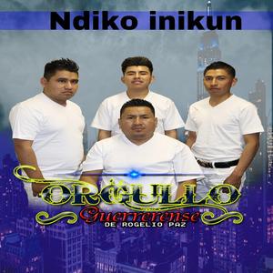 Ndiko inikun