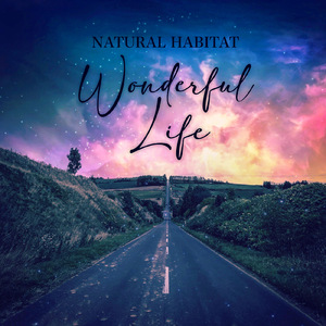 Wonderful Life