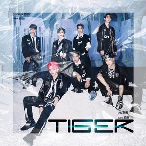 老虎(Tiger Inside)（翻自 SuperM）