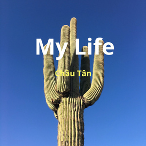 My Life