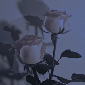 素材1