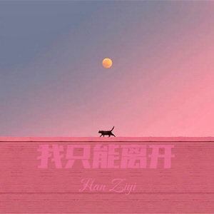 我只能离开