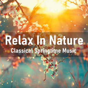 Symphony in C major, No 3, Op 78: II