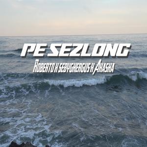 Pe Șezlong (feat. sebyghergus & Akasha)