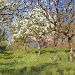 苹果树啊，苹果树