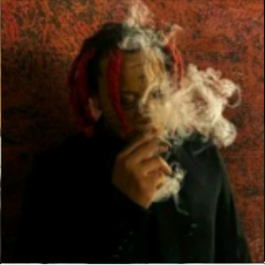 Cardo intro