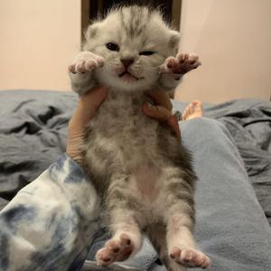 今天也想见到你