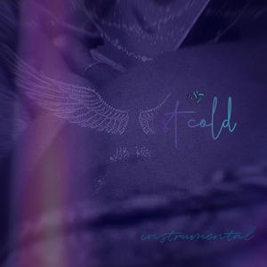 Saint cold (feat. Rothwill) (Instrumental)