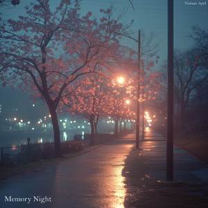 Memory Night