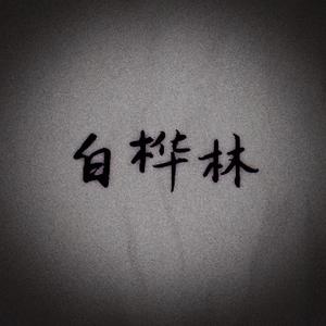 白桦林