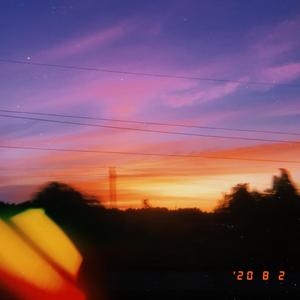 月亮鲸鱼（翻自 房东的猫）