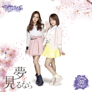 夢を見るなら(チームサプライズ)