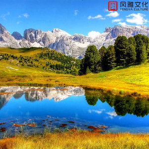 绿叶下的我们拥抱过 -钢琴