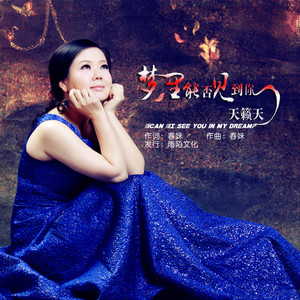 梦里能否见到你