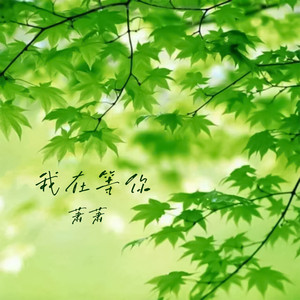 我在等你