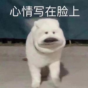 我和他在探探认识的第100天