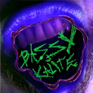 Bassy Kalite