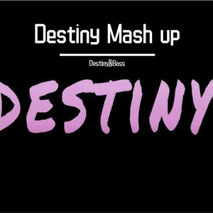 Brooks-Boomerang X This Again（Bootleg）（Destiny&Bass remix）