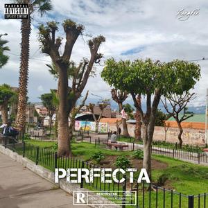 Perfecta