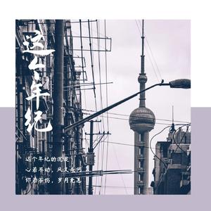 这个年纪（原唱：齐一）